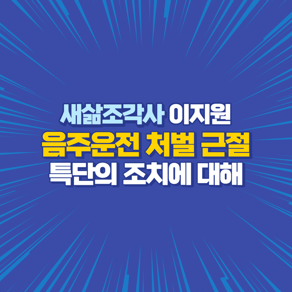 음주운전 처벌 근절 대책 및 특단의 조치에 대해 01