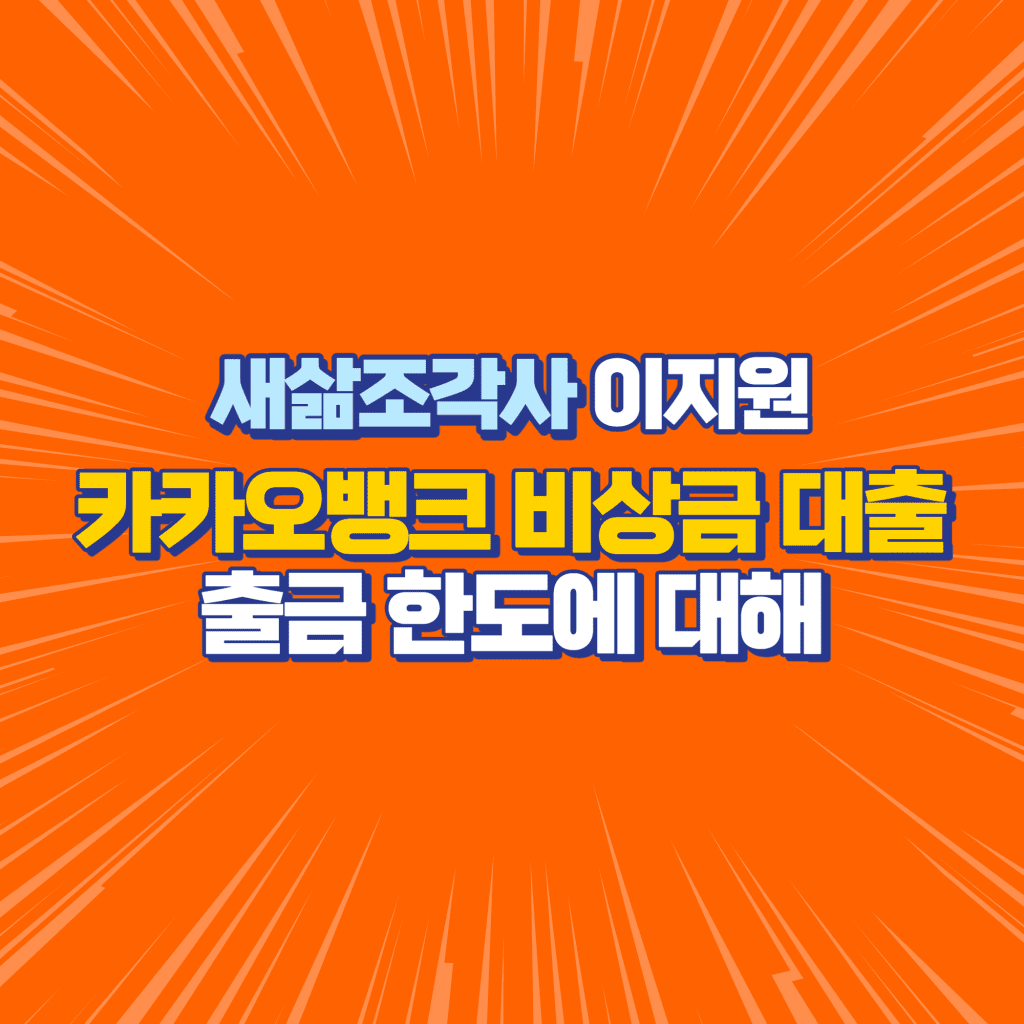 카카오뱅크 비상금 대출과 출금 한도에 대해 00